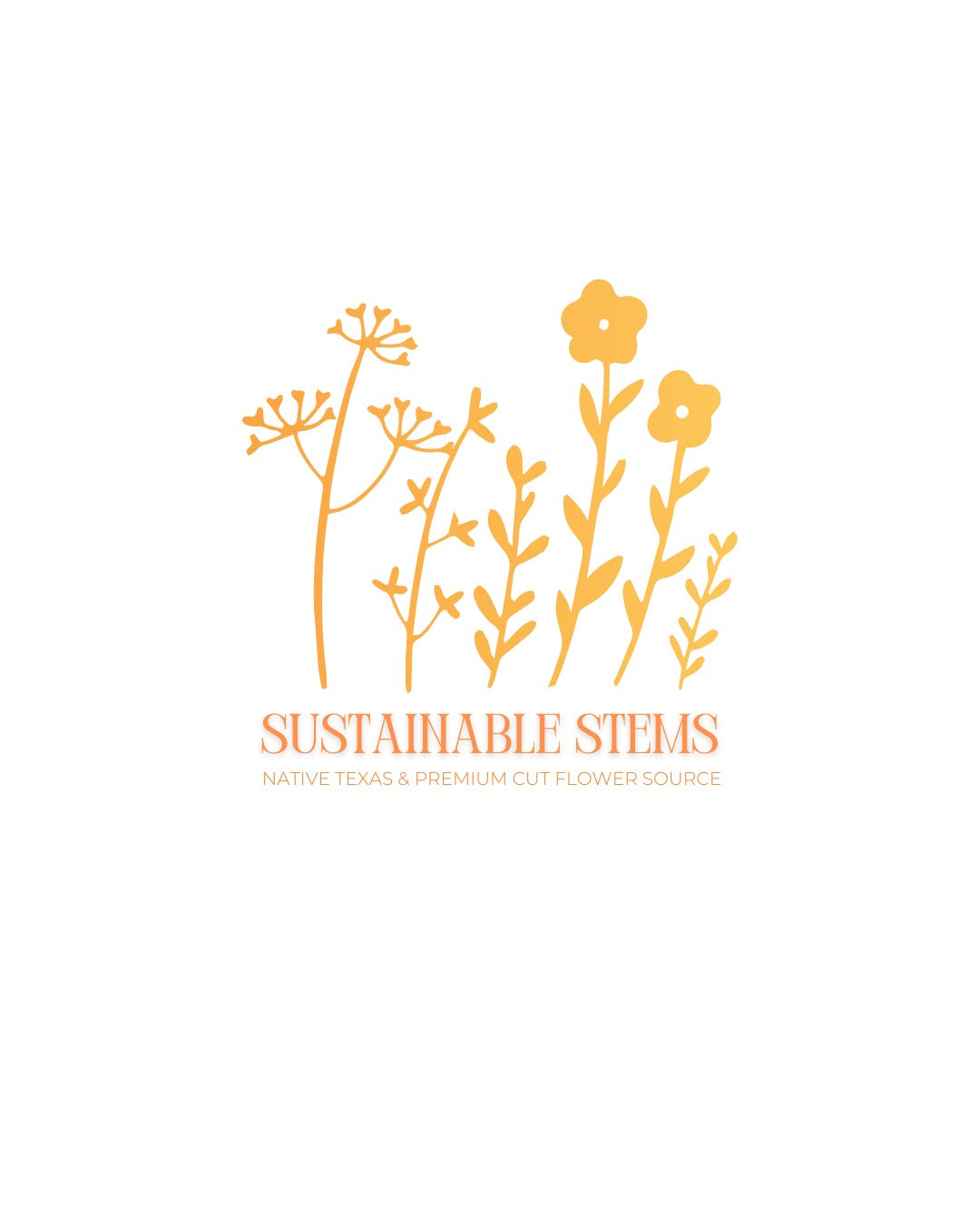 Pastello Ranunculus Corms (10 Corms)