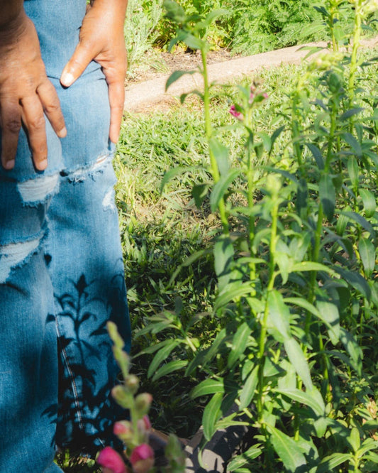 Growing Sustainable Flowers on Less than an Acre