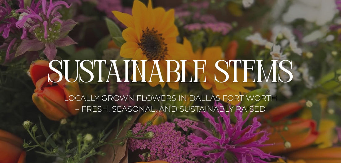 Our Story – Growing Sustainable Stems in Dallas Fort Worth