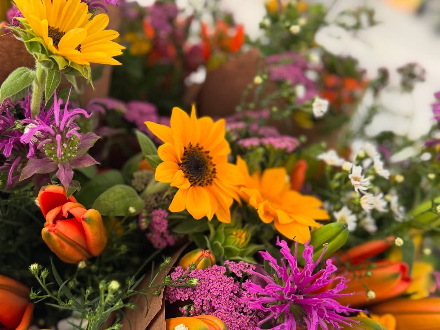 Bulk Bloom Buckets from Sustainable Stems - Local Flower Farm for DIY Weddings & Events in Dallas, TX