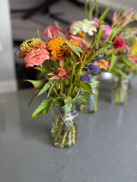 Mason Jars